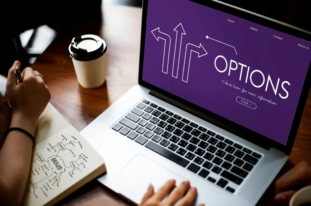 Logo Design options